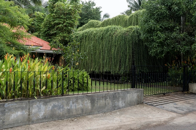 CNS Office / Studio Avocado - Sustainability