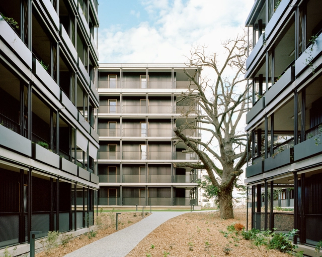 Natura 公寓单元 / Betillon & Freyermuth Architects - 建筑图, 集合住宅, 表皮