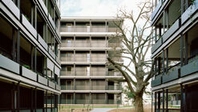 Premium Plus Roller Shades at Sei Milano Apartment Complex