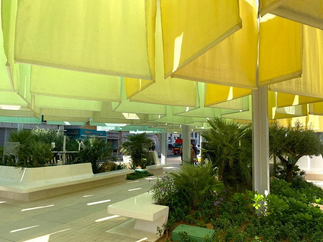 Passive Design and Urban Heat Islands: Strategies from the United Arab Emirates and India - Featured Image