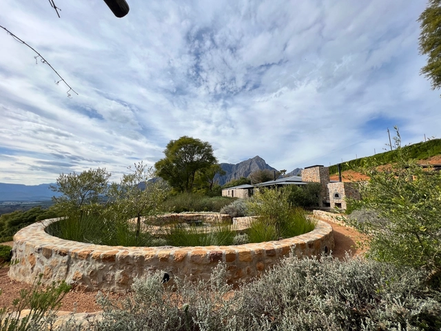 Zona de degustación para Vinos Capensis / Slee & Co Architects - Arquitectura De Oficinas