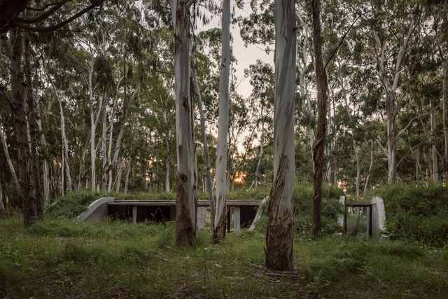 Casa Forest / Gonzalo Bardach arquitectura - Sustentabilidad Y Diseño Ecológico