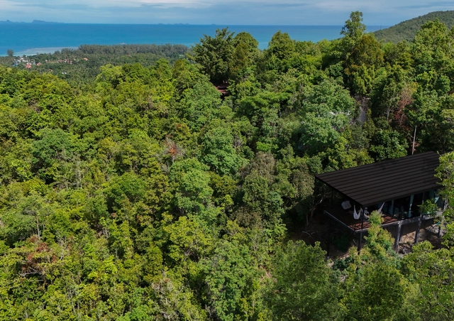 Casa Eagle / Fabián Gutiérrez Cortés - Fotografía exterior, Casas, Bosque