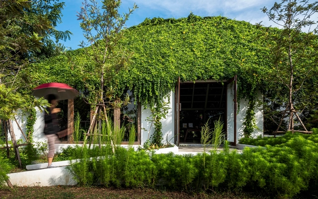 Bonsai House / Studio Miti - Exterior Photography, Houses, Facade, Door