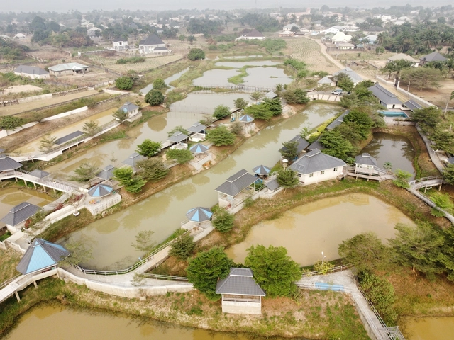 Urban Farming: A Sustainable Pathway Out of Nigeria’s Unfolding Food Crisis - Featured Image