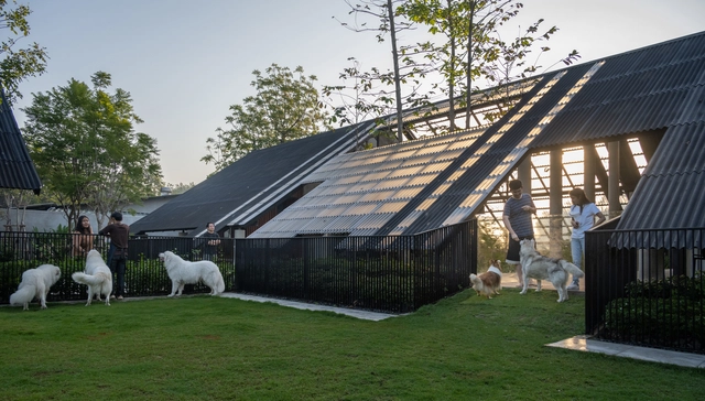 Architecture Beyond Humanity: Designing for Non-Human Species - Featured Image