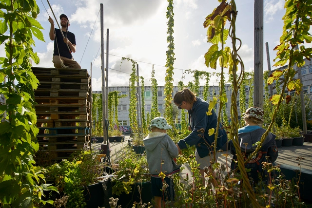 Pioneering Change: The Obel Award Recognizes Transformative Innovations Since 2019 - Featured Image