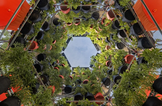 Harvard GSD Inaugurates Polinature, a Plug-In Public Space to Transform Urban Climates - Featured Image
