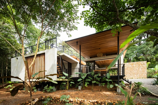 Casa Floresta / Vince Studio - Casas