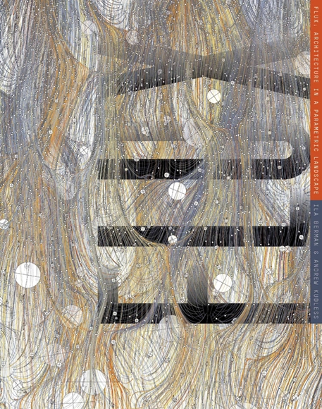 FLUX: Architecture in a Parametric Landscape - Drafting & Presentation