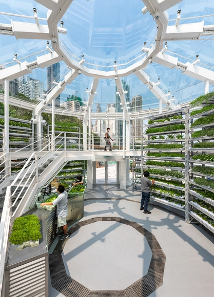 Producción de alimentos centrada en el futuro: integrando agricultura de alta tecnología en las ciudades - Imagen Principal
