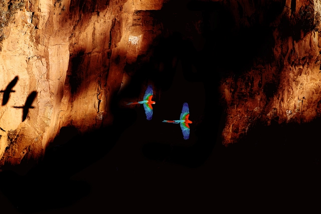 Fotógrafo Ed Beltrão estreia exposição “Dentre Muitos, Um” na Galeria Silvana Tinelli - Imagem de Destaque