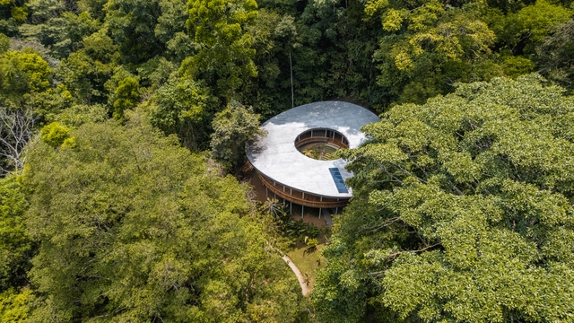 Sinfonía Verde / Studio Saxe - Fotografía exterior, Sustentabilidad Y Diseño Ecológico, Jardín, Bosque