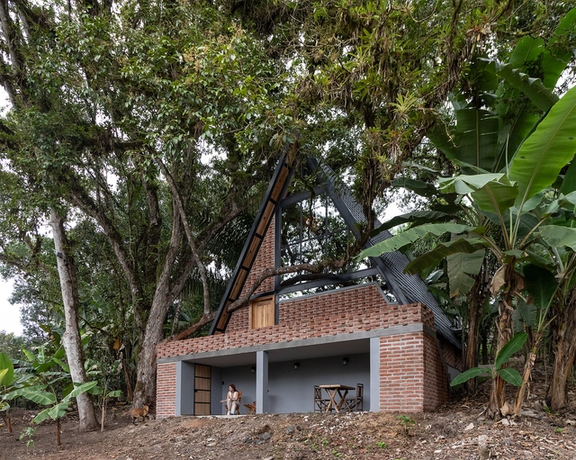 Un Refugio en el Bosque  / Espacio & Luz Arquitectos - Casas