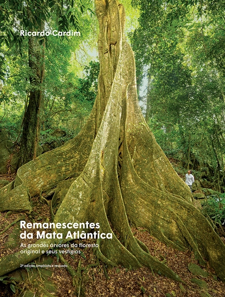 Remanescentes da Mata Atlântica - Sustentabilidade E Design Ecológico