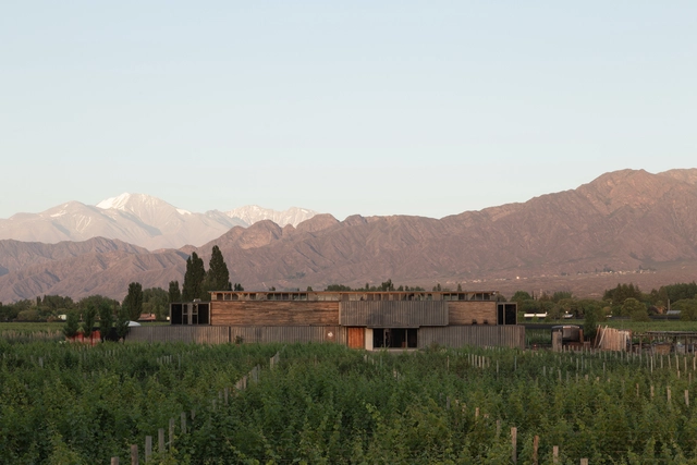 MAAL Wines  / Mora Hughes Arquitectos - Viña