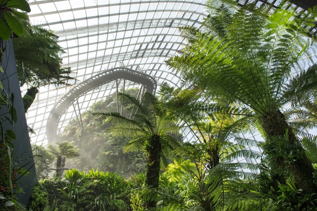 Environmental Politics: Lydia Kallipoliti’s Approach to Transforming Architecture through Ecological Pedagogies - Featured Image