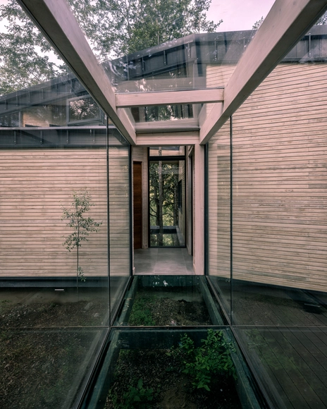El vidrio como protagonista: Casa Bosque y la experiencia inmersiva en la naturaleza - Imagen Principal