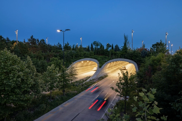 Design Strategies for Increasing Biodiversity - Featured Image
