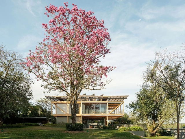 Casa RF  / Andrade Morettin Arquitetos Associados - Fotografía exterior, Casas, Jardín