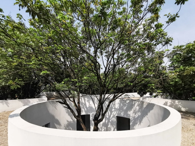 龙眼树下的院子 / 在场建筑 - 独立住宅