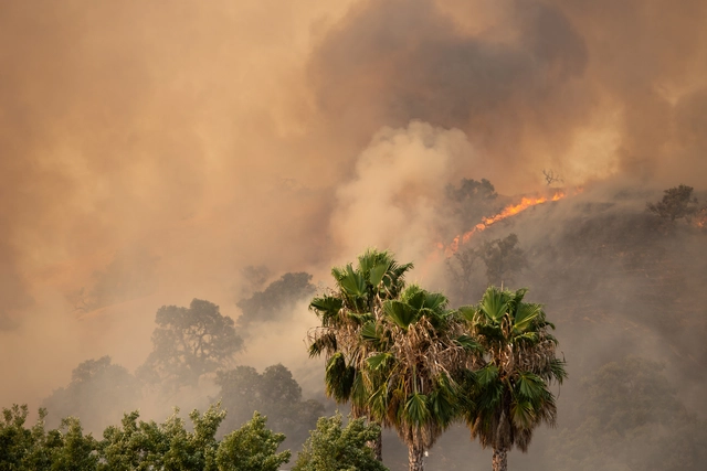 Los Angeles Wildfires Threatens Architectural Landmarks Including the Hollywood Bowl and the Eames House - Featured Image