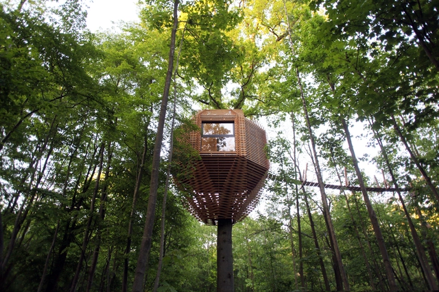 Building Among the Branches: A Showcase of Contemporary Treehouse Architecture - Featured Image