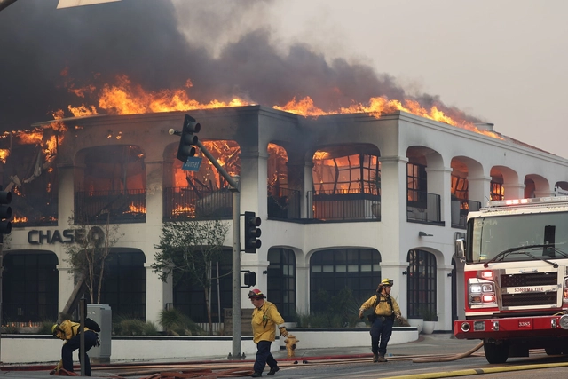 The Impact of Wildfires on Building Codes: Reflections on the Recent Los Angeles Fires - Featured Image