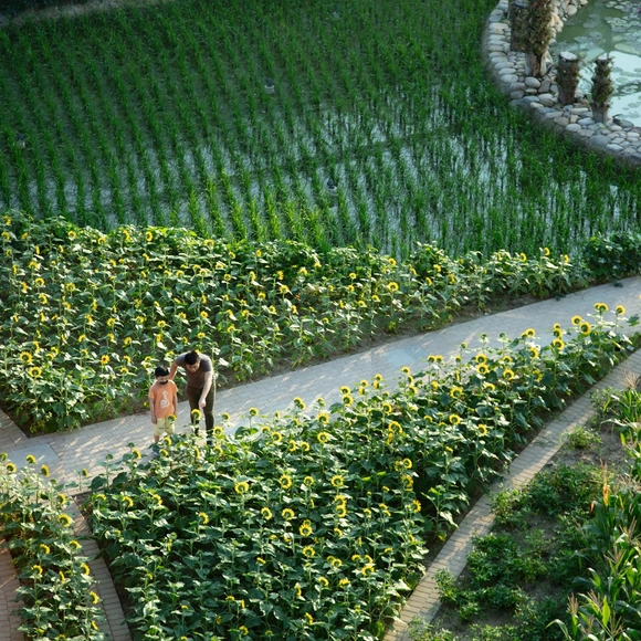 Innovation with Worldwide Impact: The Transformative Power of the A’ Design Awards - Featured Image