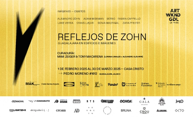 Reflejos de Zohn: Guadalajara en Edificios e Imágenes - Imagen Principal