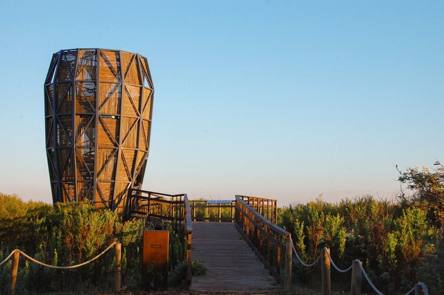 Designing in Harmony with Nature: Architecture in Urban Wetlands and the Pursuit of Territorial Well-Being - Featured Image