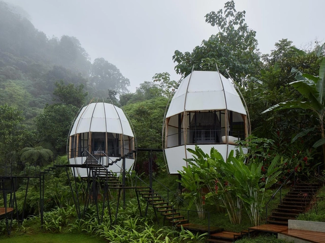 Refugios en la selva latinoamericana: 7 lodges para conectar con la naturaleza - Imagen Principal