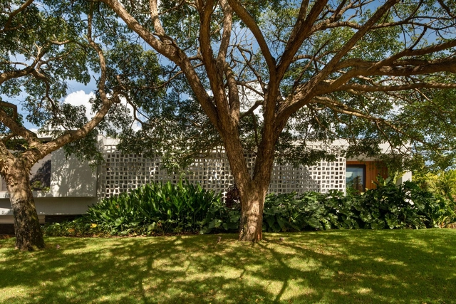 Casa Colmeia / Bittar Arquitetura - Casas