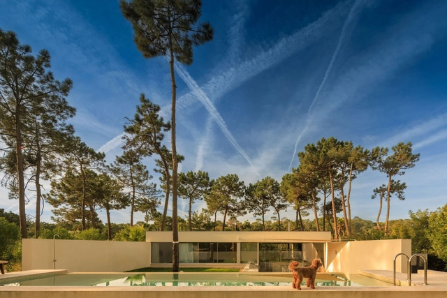 Casa Calma / Araja Studio - Casas
