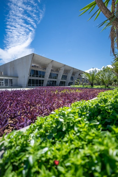 Cinemateca do MAM reabre ao público - Imagem de Destaque