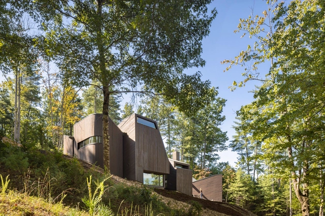 Forest Futures: Rethinking Architecture of Forest Ecosystems and Ecological Balance - Featured Image