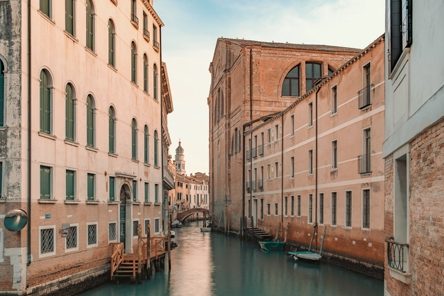 Donna Haraway and Italo Rota Receive the Golden Lion for Lifetime Achievement of the 2025 Venice Biennale - Featured Image