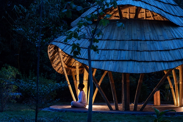 Architectures of Care: Healing Spaces Across Cultures - Featured Image