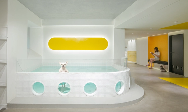Designing for Companionship: Reimagining Urban Life with Pets - Featured Image
