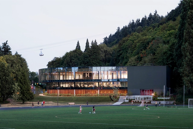 Forest-to-Frame: LEVER Architecture on Regenerative Design and Material Sourcing  - Featured Image