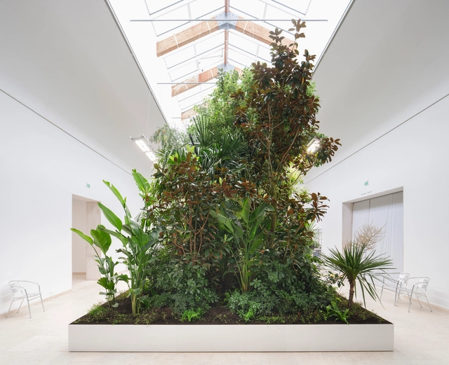 The Belgian Pavilion Explores Plant-Based Architecture at the Venice Biennale 2025 - Featured Image