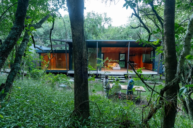 Casa en el bosque / MALVINA ZAYAT estudio de arquitectura - Fotografía exterior, Casas, Bosque
