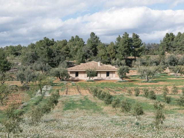 Casa EF / MDBA architects - Fotografía exterior, Casas