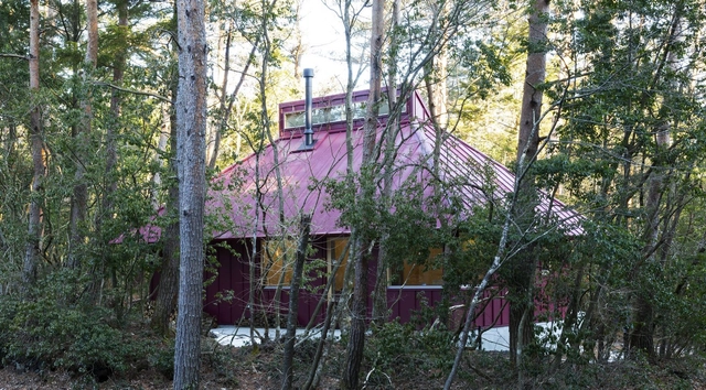 House in the Forest / Office Ten Architecture - Exterior Photography, Houses, Forest