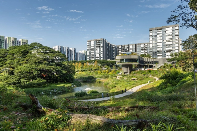 Parque Bidadari / CPG Consultants + Henning Larsen - Fotografía exterior, Parque, Jardín, Urbano