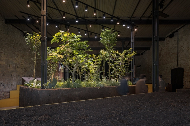 El Pabellón de México en la Bienal de Arquitectura de Venecia explora el potencial ecológico de los sistemas agrícolas ancestrales - Imagen Principal