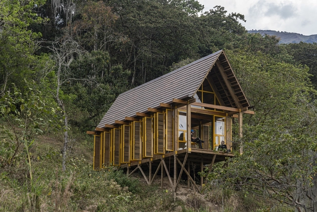 Casa de reforestación Lamarilla / Quena Margarita Gonzalez Escobar + Juan David Hoyos Taborda - Fotografía exterior, Cabañas & Lodges, Bosque