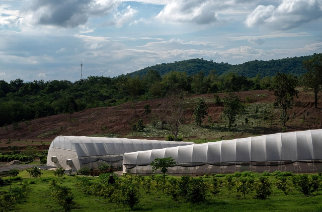 Campamento Khanong Phra / PHTAA Living Design - Invernadero 