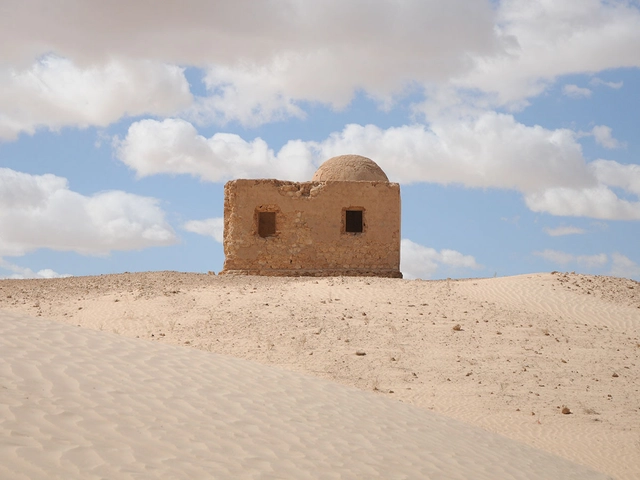 Architecture for a Changing World: Insights from the 2025 Versailles Biennale - Featured Image