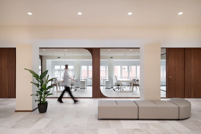 Reforma integral oficinas Colegio Oficial de Médicos de Valladolid / estudio COLOMA - Fotografía interior, Interiores De Oficina, Sillas